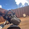 user_equestrian