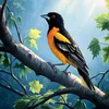 noha74608