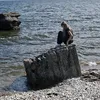 minstkuli