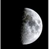 black_rose45667