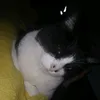feli_mula18