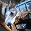 serenityg84