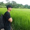 shineaung817