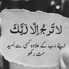 qamarbaloch995