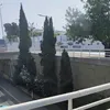 badi_pidiit