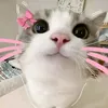 japangirl87