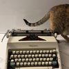 emily.m.editor