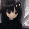 rvsearna