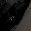 dark.lover.494870queen