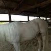 eric.sousa.sousa