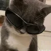 general_kai26