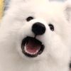 itszphoon