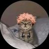 jay_46811