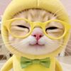 fav_greentea00