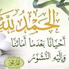 muhamd7308