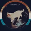 tamdieuhan12
