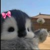 tasyaa__13