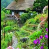Nature beauty