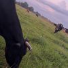 farmlifeee._