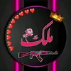 rayasat.malik.101