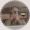 syi_l.l