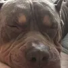 barazzle