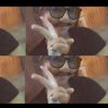 .baby_shark1