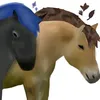 amy_plays_whi