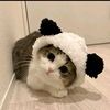 tapi553_aku_lucu_kalaun0