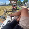 trong_kubota