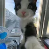 denis_xaek