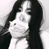 roses_zahiraa