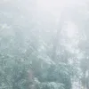 bctfjtdjhrf