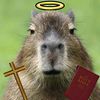 tommymeinhardt4