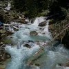 varvara.bagd
