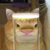 hayopglowup