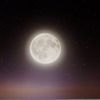 hector_0131