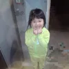 lnn.whnn_
