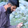 tahir__khan052