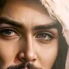 habib habib