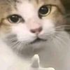 molda_hutto132021
