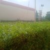 samire2840