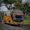 cipto.rd.trans