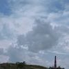 nesat892