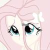 user3397076843010