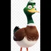mack_pato1