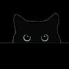 not_arafat