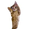 dancing_kitty25