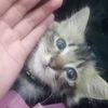 arina.sweet