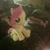 keyylupp12